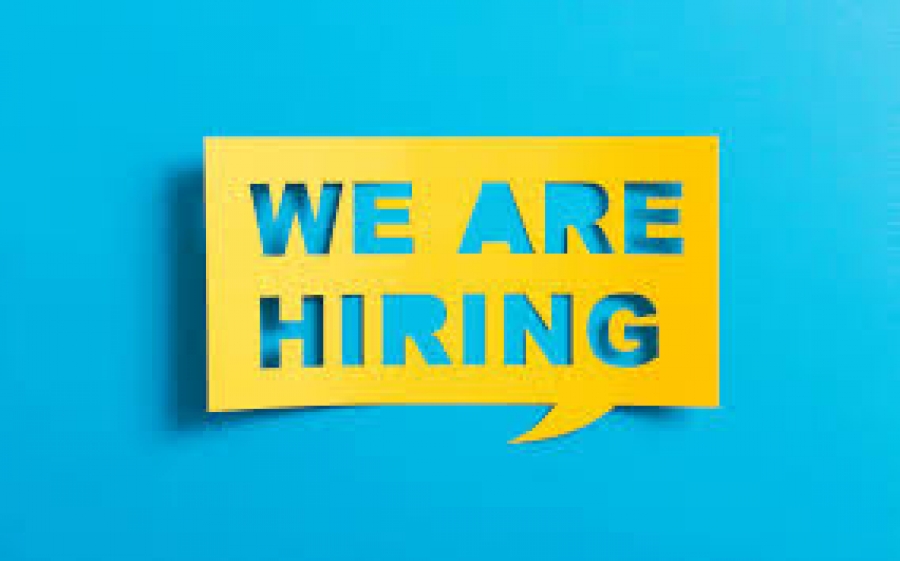 We looking to hire three Junior Recruiters
